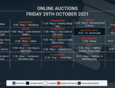 Online Auctions – Friday’s Calendar 29/10/2021