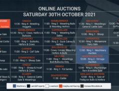Online Auctions – Saturday’s Calendar 30/10/2021