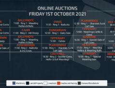 Online Auctions – Friday Calendar 01/10/2021