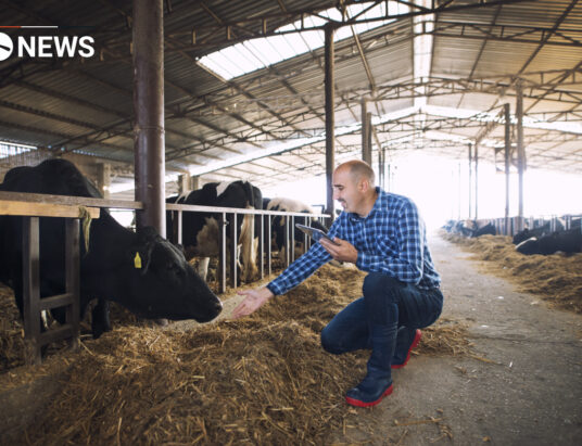 Urgent action needed to prevent shortage of dairy farm staff