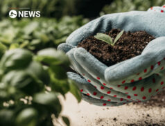 Public voting open for Farming for Nature finals