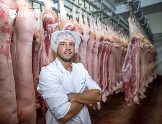 Irish pig-meat sector wants permits for non EU workers to be fast-tracked