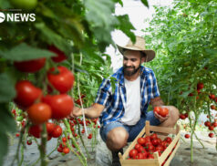 Ireland's Stamp Duty relief to continue for young farmers