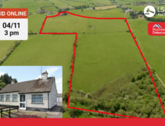 Raymond Potterton - Drumbaragh, Kells, Co.Meath