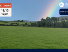 Quinn Property - Craffield, Aughrim, Co.Wicklow