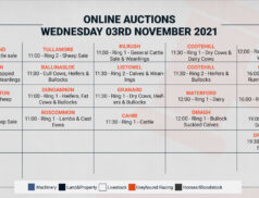 Online Auctions – Wednesday’s Calendar 03/11/2021