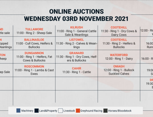 Online Auctions – Wednesday’s Calendar 03/11/2021