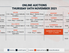 Online Auctions – Thursday’s Calendar 04/11/2021