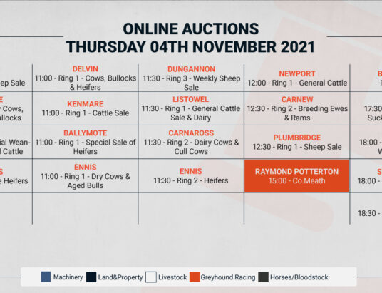 Online Auctions – Thursday’s Calendar 04/11/2021