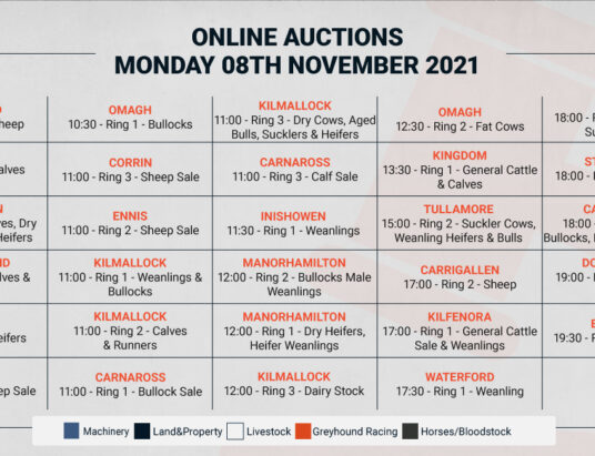 Online Auctions – Monday’s Calendar 08/11/2021