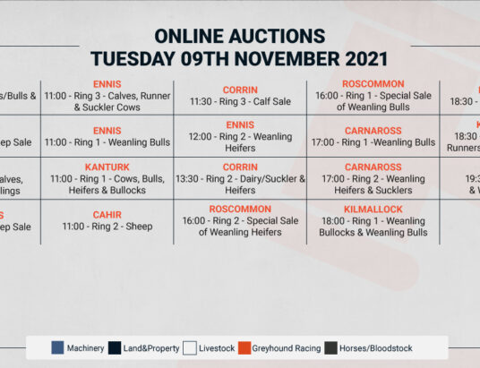 Online Auctions – Tuesday’s Calendar 09/11/2021