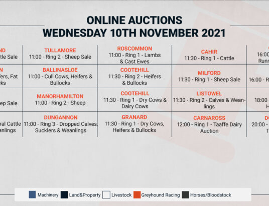 Online Auctions – Wednesday’s Calendar 10/11/2021