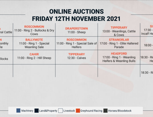 Online Auctions – Friday’s Calendar 12/11/2021