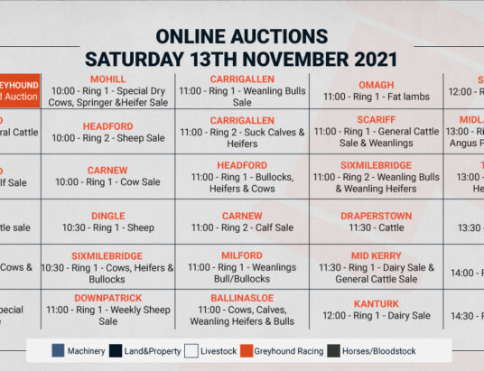 Online Auctions – Saturday’s Calendar 13/11/2021