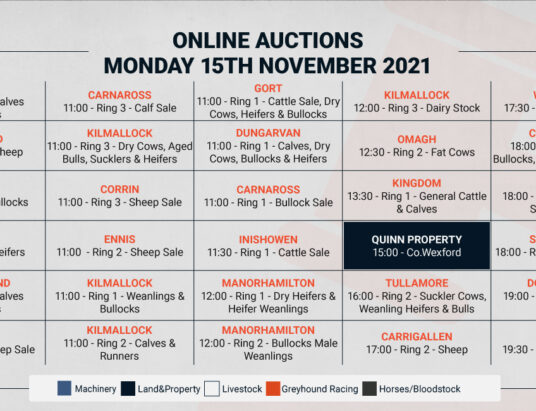 Online Auctions – Monday’s Calendar 15/11/2021
