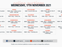 Online Auctions – Wednesday’s Calendar 17/11/2021