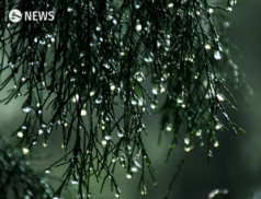 Ireland weather forecast: Tuesday