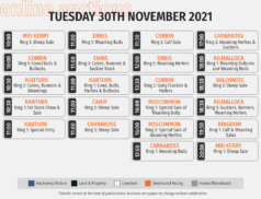 Online Auctions – Tuesday’s Calendar 30/11/2021