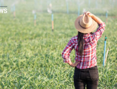 26,507 women farmers in Ireland