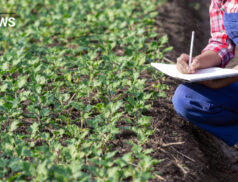 Government sets out plan to support gender equality in farming