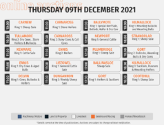 Online Auctions – Thursday’s Calendar 09/12/2021