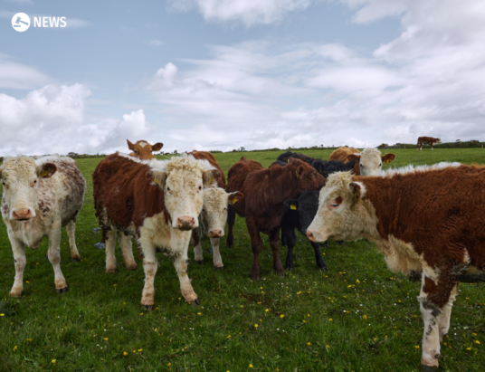 €5m pilot Farm Environmental Study launched by Ministers