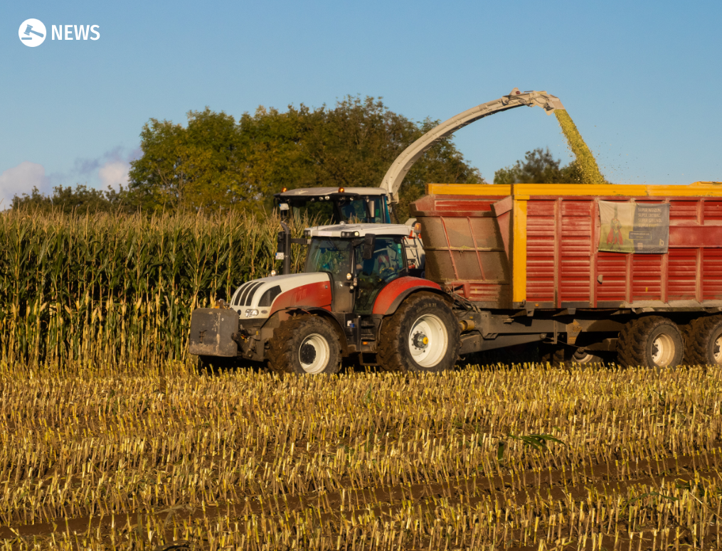 Jobs offered for work on New Zealand dairy farm