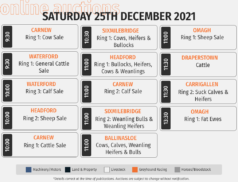 Online Auctions – Saturday’s Calendar 25/12/2021