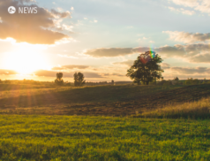 UK farmers to be paid for soil stewardship under new scheme