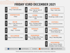Online Auctions – Friday’s Calendar 03/12/2021