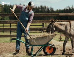 Shortage of young farm managers in the industry