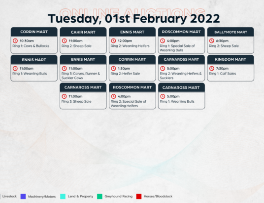 Online Auctions – Tuesday’s Calendar 01/02/2022