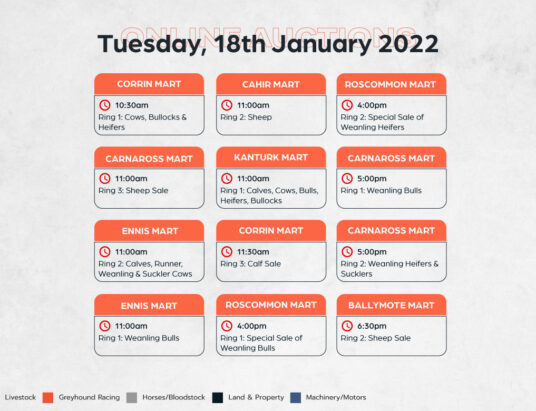 Online Auctions – Tuesday’s Calendar 18/01/2022