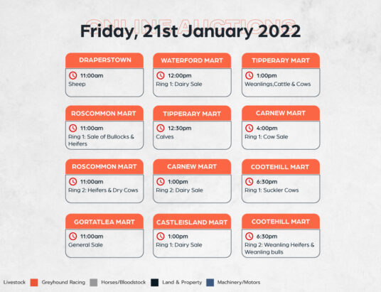 Online Auctions – Friday’s Calendar 21/01/2022