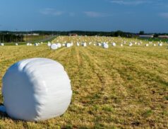 bale wraps
