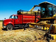 Silage rates