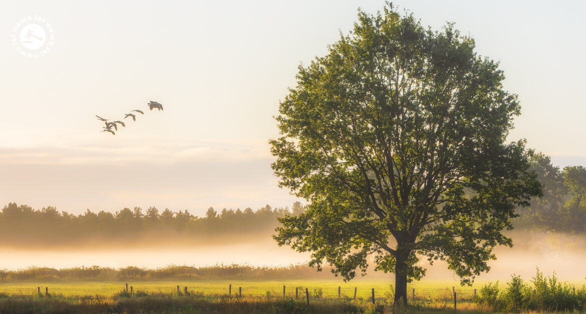 Ireland Weather Forecast: Friday