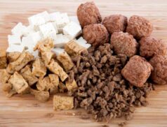 plant-based meat substitutes