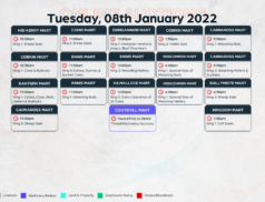 Online Auctions – Tuesday’s Calendar 08/02/2022