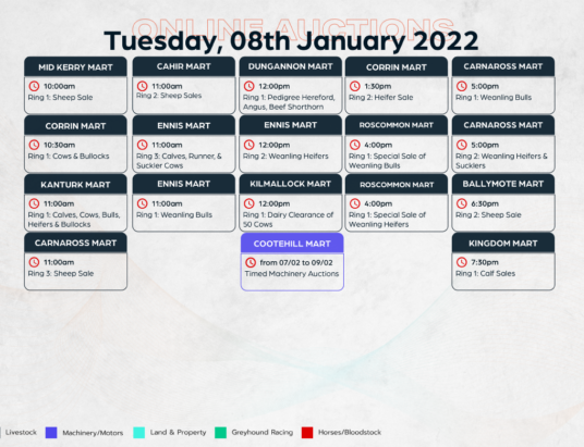 Online Auctions – Tuesday’s Calendar 08/02/2022
