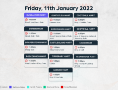 Online Auctions – Friday’s Calendar 11/02/2022