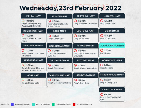 Online Auctions – Wednesday’s Calendar 23/02/2022