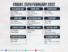 Online Auctions – Friday’s Calendar 25/02/2022