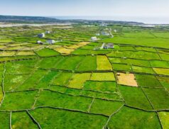 Agricultural land