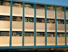 Animal transport