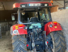 Carnew Auction