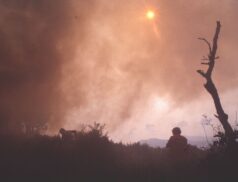 Controlled burning period