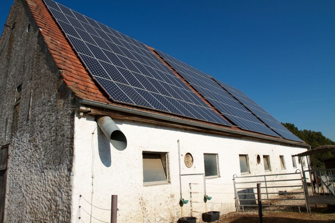 Farm solar panels