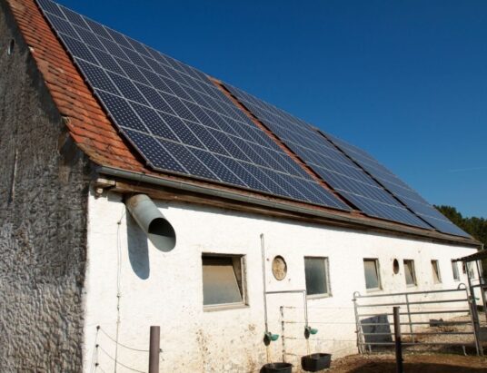 Farm solar panels