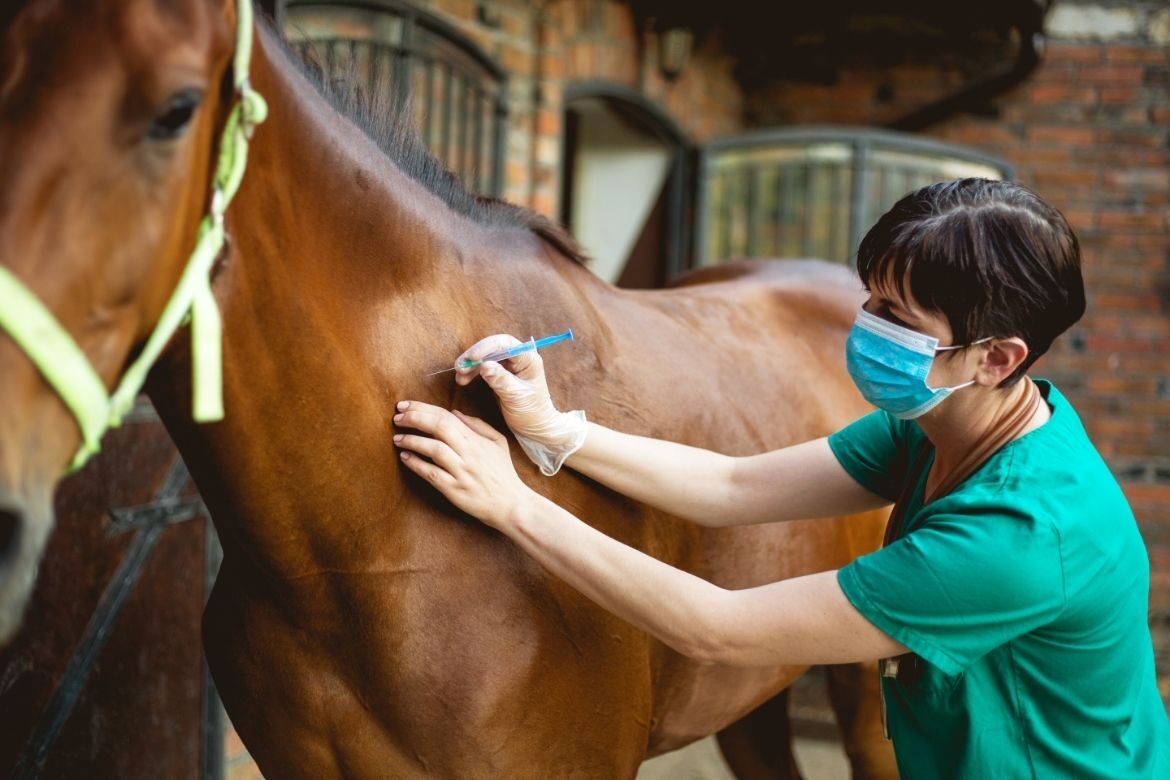 Farm vet